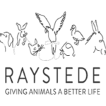 Raystede
